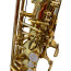 Saxofone Alto Tokai TSA-200L MIB Laqueado